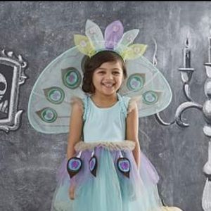 Kids pottery barn peacock out fit